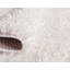 Tapis à poils longs de couleur ruche Carlosadrian-648307665