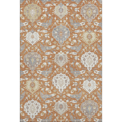 Premium Machine Washable Guada AMF1026 Damask Rug