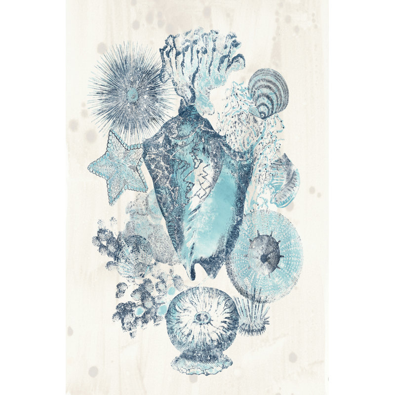Coastal Melange III by June Erica Vess - Wrapped Canvas Art Prints, 76cm H x 51cm W x 3.8cm D