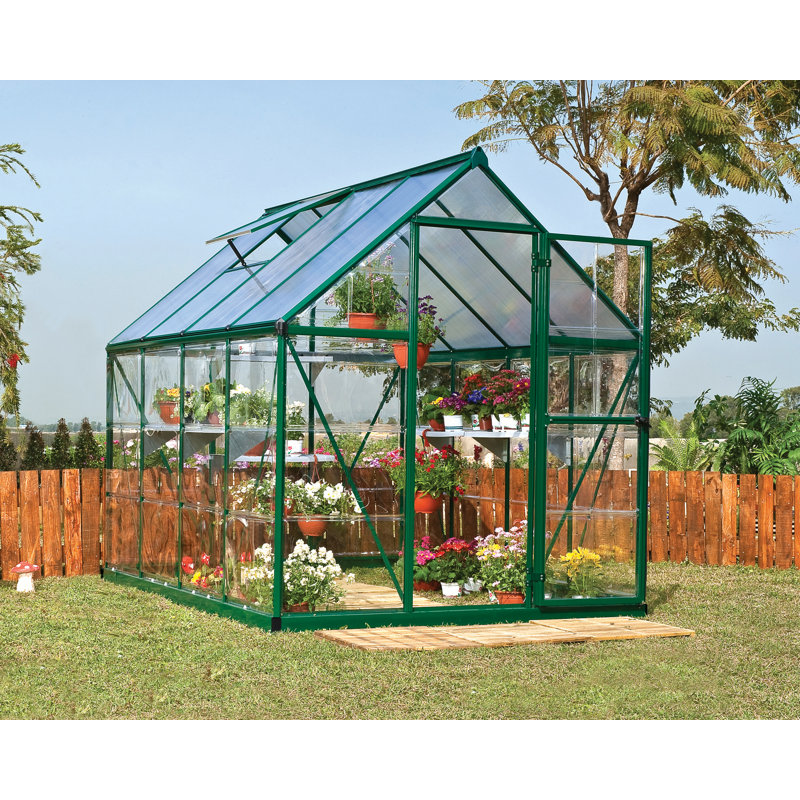 Hybrid 6 Ft W x 8 Ft D Hobby Greenhouse, Green