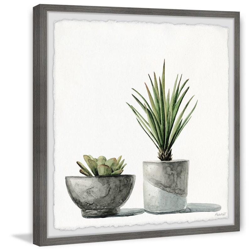 Spiky Succulent - Single Picture Frame Painting, 51 cm H  x 51 cm W