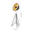 Transitional 1-Light Black Tripod Floor Lamp 