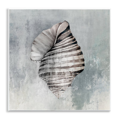  Organic Twisted Seashell Wall Plaque Art by Eli Jones