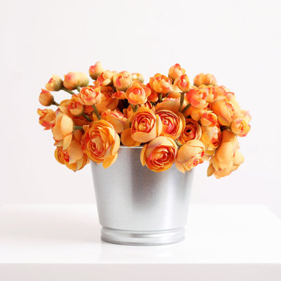 Arrangement floral renoncule en pot