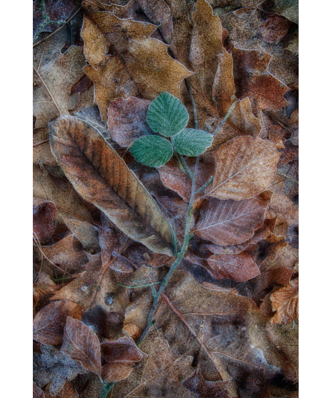 Wrapped Canvas Print, 60.96 cm H x 91.44 cm W