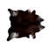 Abhinav Cowhide Animal Print Indoor Rug