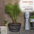 Ramsell Barrel Planter-1467883322