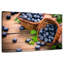 Bleuets Yarlin-107527855