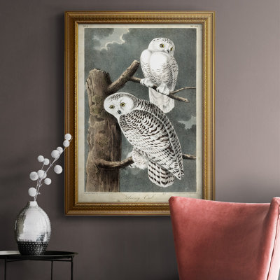 " Audubons Snowy Owl "