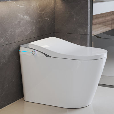 MEDUNJESS Smart Toilet With Auto Lid, Heated Seat, Instant Warm Water, Wireless Remote, Night Light & Multiple Wash Modes