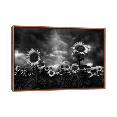 Sunflowers by Fran Osuna - Floater Frame Print on Canvas