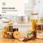 Glass Jar-68600771