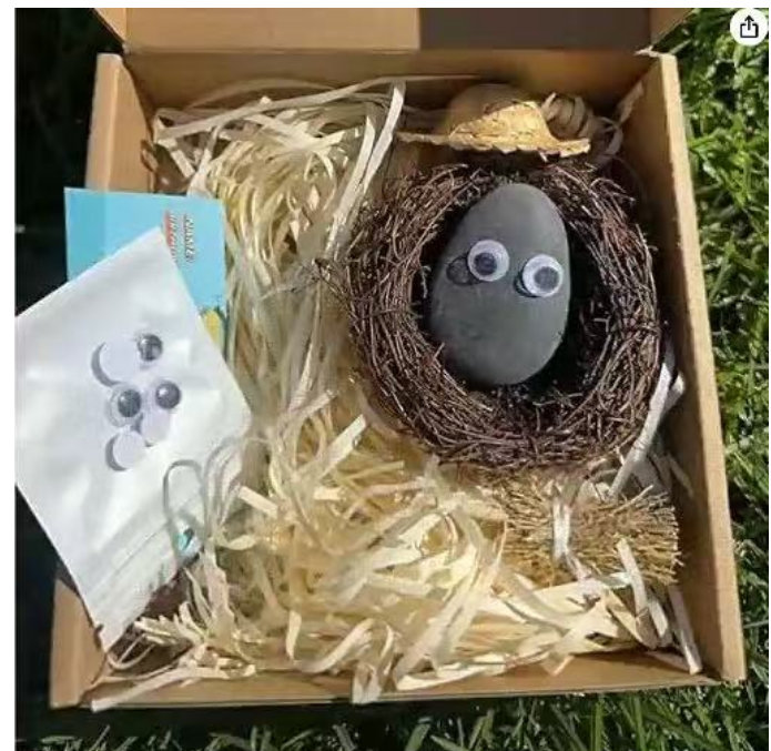 Pet Pebbles Buddy 