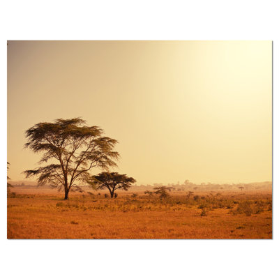 Trees in Large African Landscape - Reproduction de photo sur toile tendue