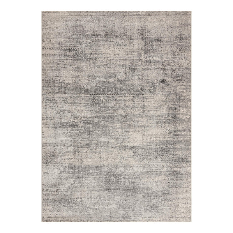 Kater Gray/White Area Rug, Rectangle 5'1" x 7'1"
