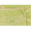 Tapis vert clair Julian