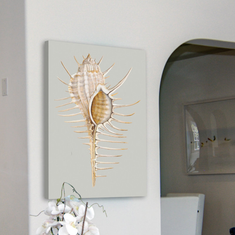 "Spure Murex", reproduction sur toile tendue, H 60 po x l 40 po x P 1,5 po
