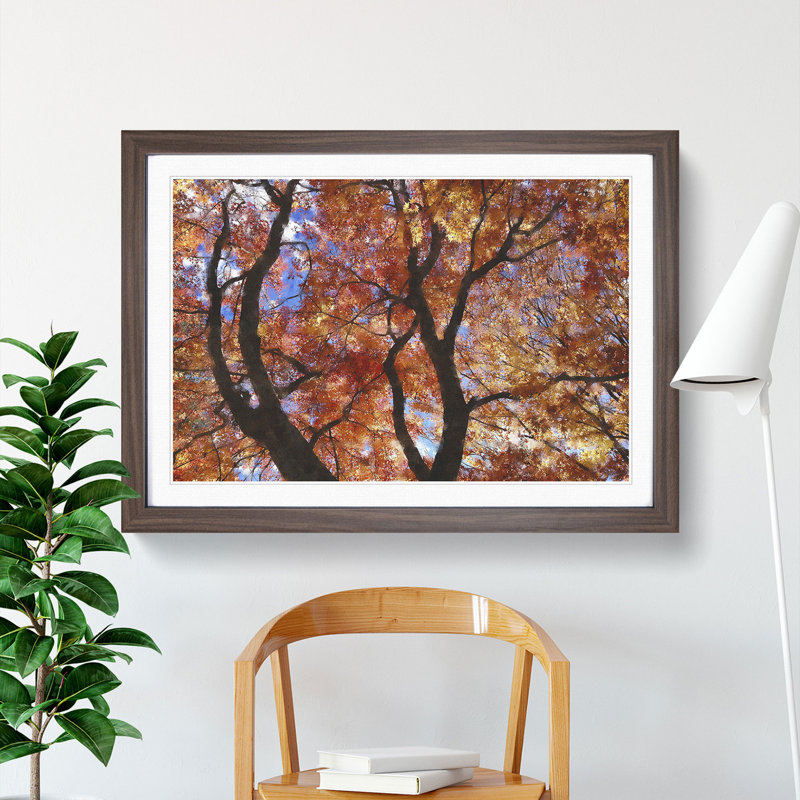 Maple Tree Vol.2 - Framed Print, 48cm H x 65cm W x 2cm D, Walnut Framed