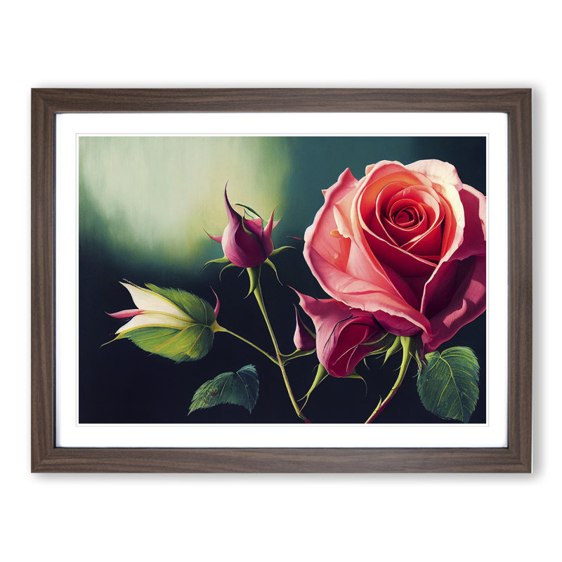 Splendid Rose Flowers - Framed Print, 34cm H x 46cm W x 2cm D, Walnut