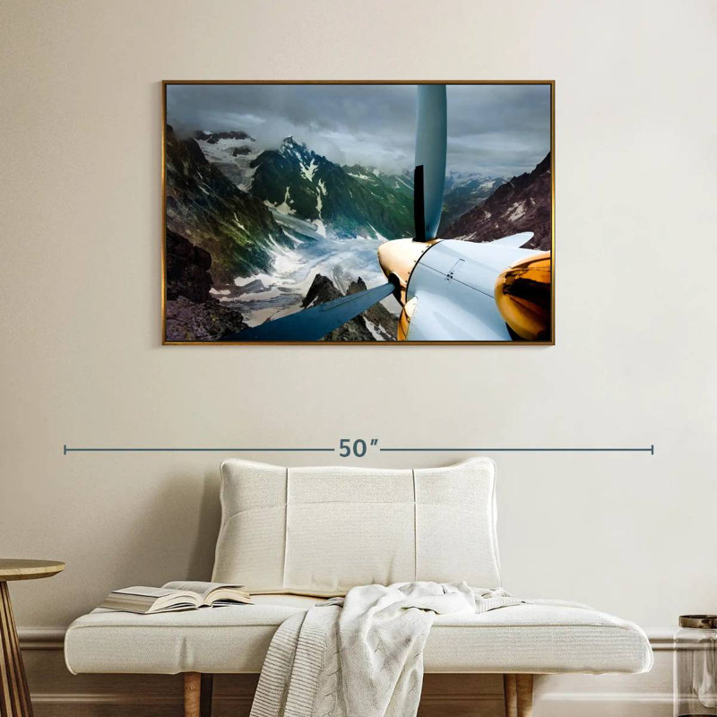 Beauté de l'aviation, Cadre flottant doré, 40 po x 27 po