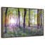 Bluebells and sunrise-535865495-535865516