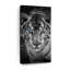 Tigre bleu sur toile-82396669