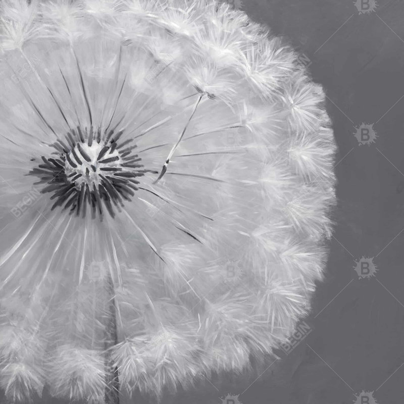 " Dandelion Puff Ball ", 24" H x 24" W