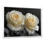 Décorations murales de roses mystiques blanches et monochromes - Roses-1359580858-1598730515