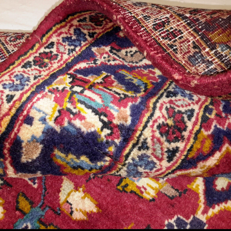 Nanka Wool Oriental Area Rug in Red