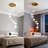 8 - Light Dimmable Led Cluster Pendant