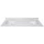 Lotte 73'' W Double Vanity Top-497427422