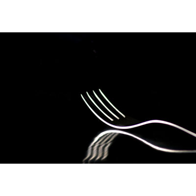 Fork Reflection 1 Piece Wrapped Canvas Wall Art
