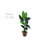 66'' Faux Palm Tree in Planter