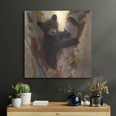 «Curious Cub I» par Collin Bogle