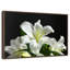 Lys blancs frais-1597645283-1597645310