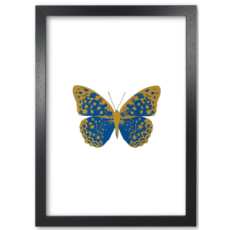 Butterfly - Print, 30 cm H x 21 cm W x 5 cm D, Blue, Black Grain Frame