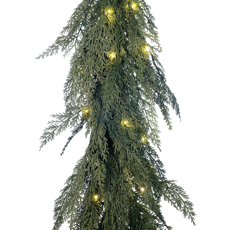 Guirlande lumineuse 5 pi. Cypress, 5'