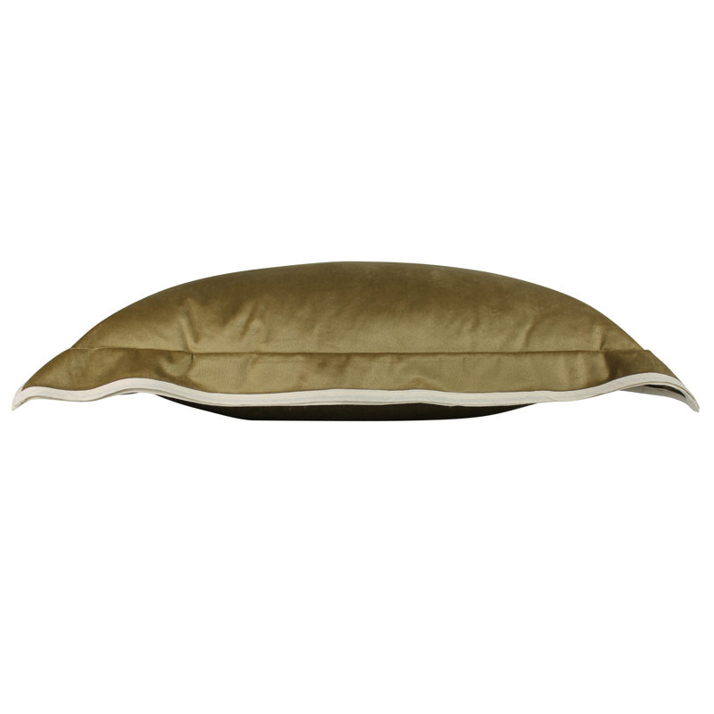 Coussin en velours, Doré