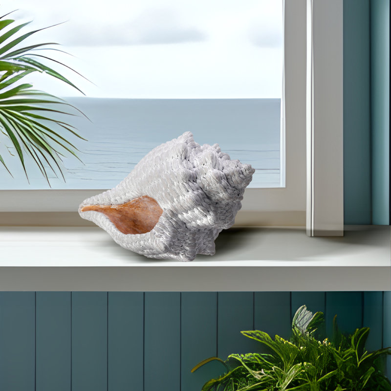 Anazagene 'Fabric Weave' Conch Shell