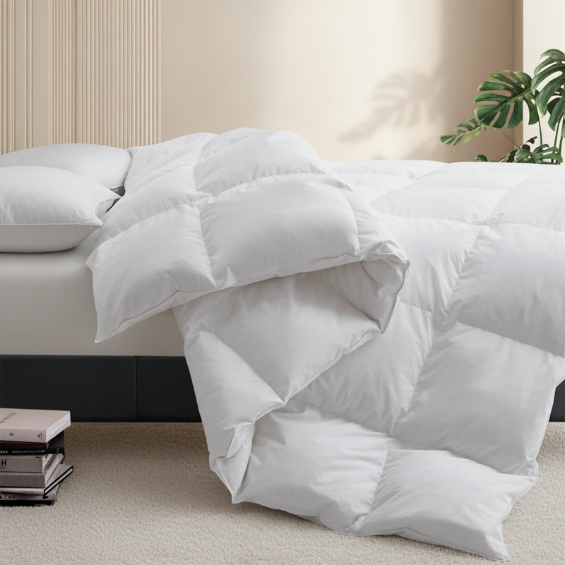 All Season Down & Feather Blend Comforter with 100% Cotton Cover, Queen