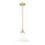 Luminaire suspendu moderne 1 lumière Ohlson-1340429150