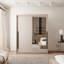Manufactured Wood Wardrobe-310100312-499211855