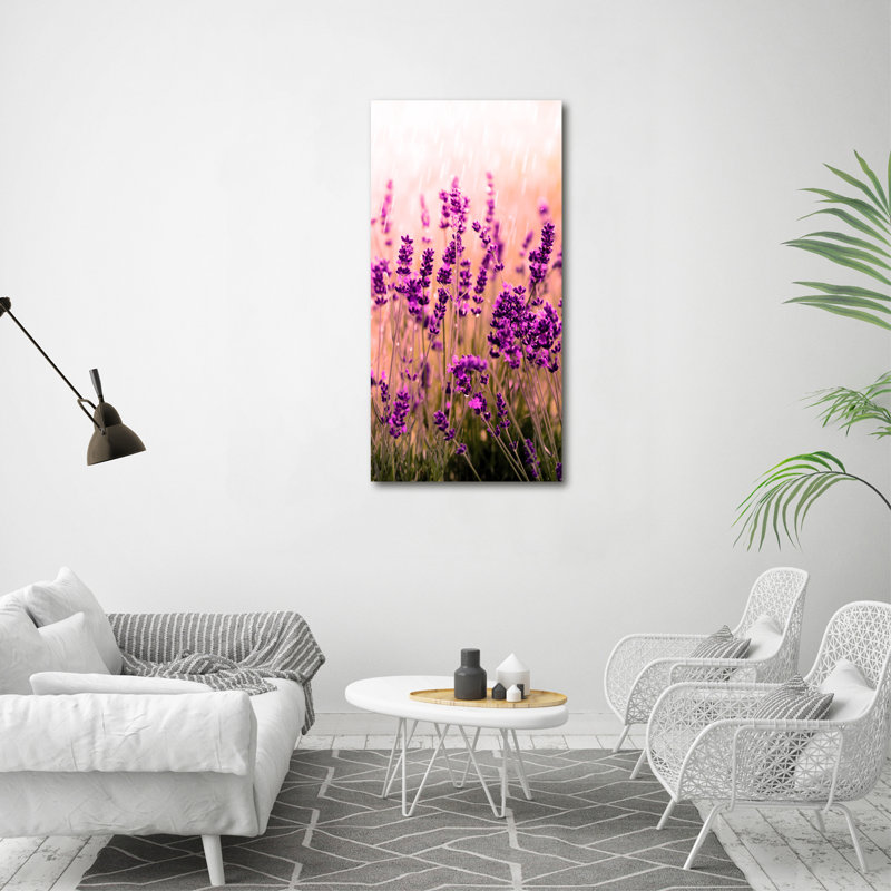 Lavender Field - Wrapped Canvas Print