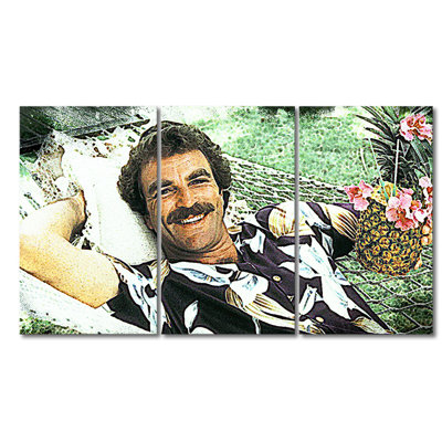 Magnum - 3 Piece Wrapped Canvas Painting