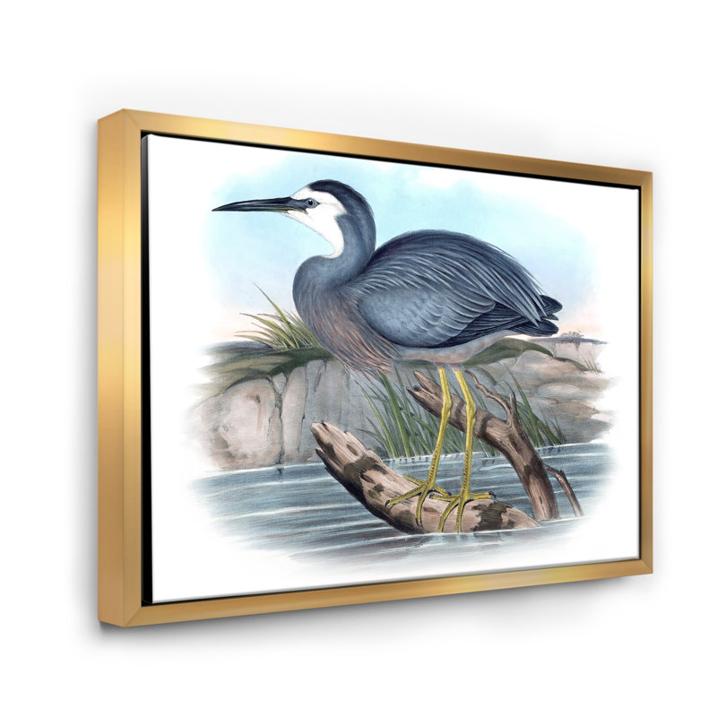 Oiseaux australiens rétro II - impression sur toile, H 16 po x l 32 po x p 1 po, Encadrement doré