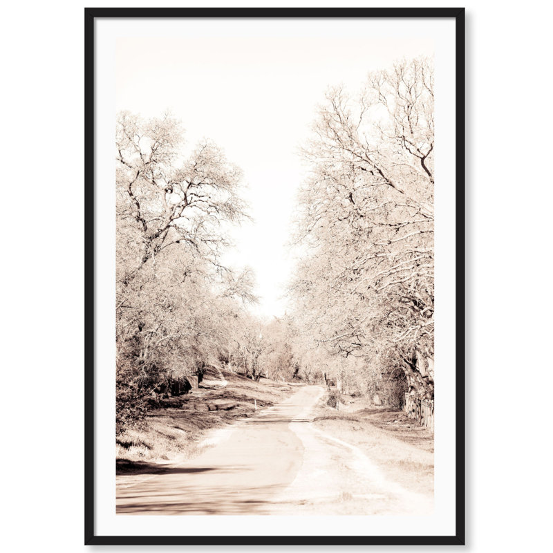 Fall Trail Print by Carly Tabak, Black Wood, 18" W x 25" H