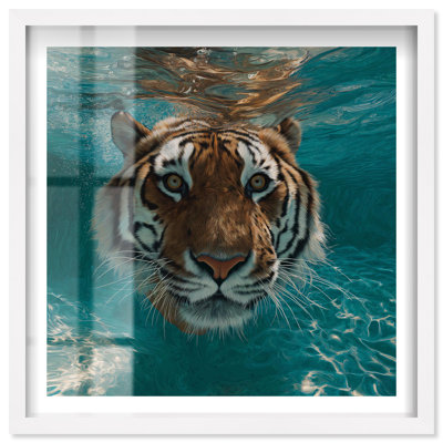 Décoration murale tigrée Aqua Tiger I Shadowbox par Notoriart, cadre blanc, 13 x 13