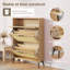 12 Pair Shoe Storage Cabinet