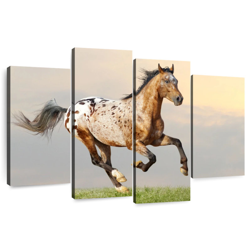 Étalon majestueux Appaloosa, H 32 po x l 52 po