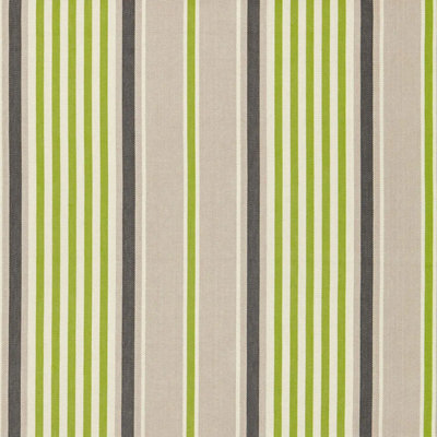 Minzer Cotton Stripe Fabric